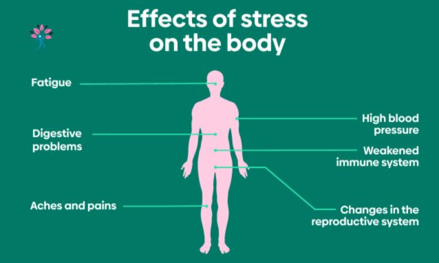 How Stress Affects Pain and What to Do About It