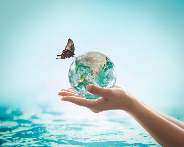 Hand holding a small Earth with a butterfly perched on top, symbolizing the connection between hydration, energy, and environmental sustainability.