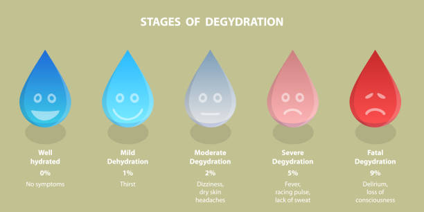 Illustration of dehydration stages, showing how hydration affects energy levels and brain function, emphasizing the impact of water loss on cognitive and physical health.