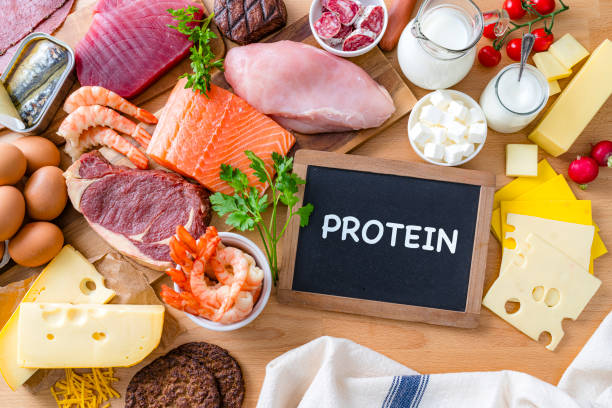 A variety of protein-rich foods such as meat, fish, eggs, dairy, and seafood, demonstrating the importance of macronutrients in a balanced diet.