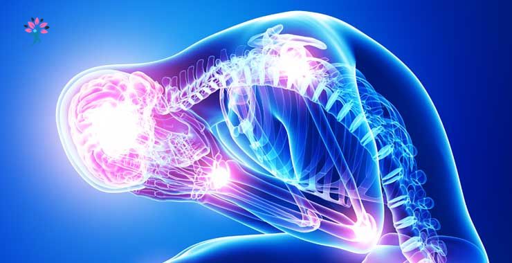 How Stress Affects the Body