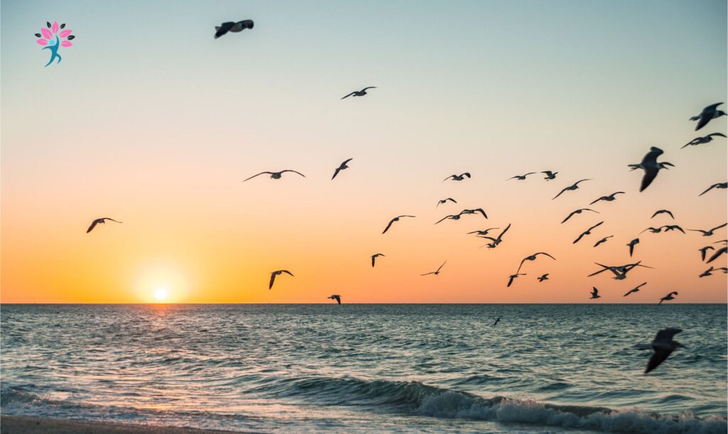 Optimizing Your Morning Routine for a Productive Day
