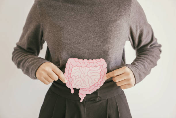 Person holding a gut illustration, emphasizing the importance of Gut Health for digestion and overall well-being.